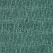 Shelley (J0115-07)